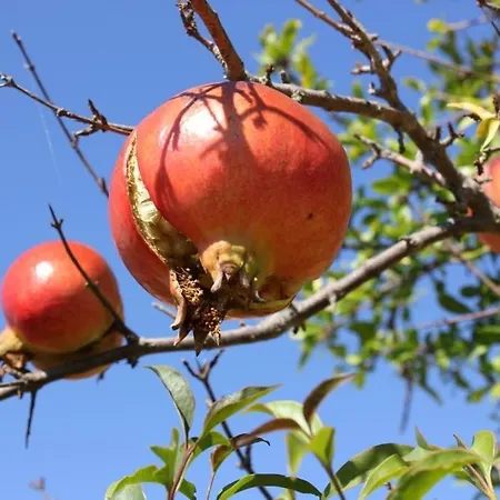 With A Parking Space - 7203