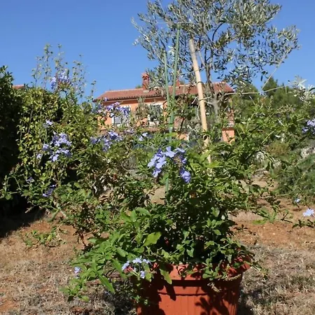 With A Parking Space - 7203 아파트 *