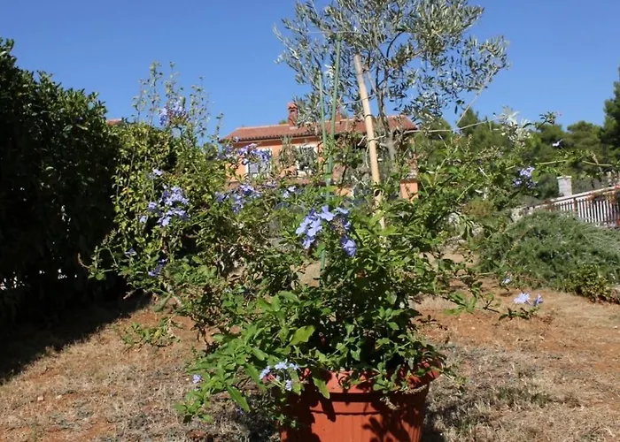 With A Parking Space - 7203 아파트 *